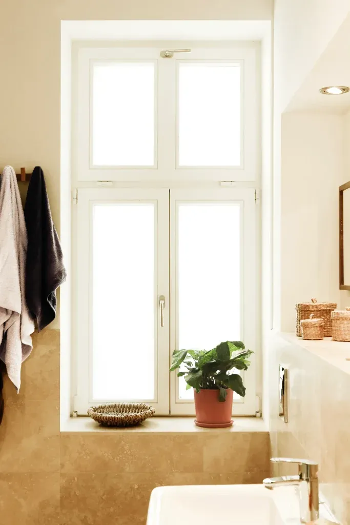 Bathroom Window