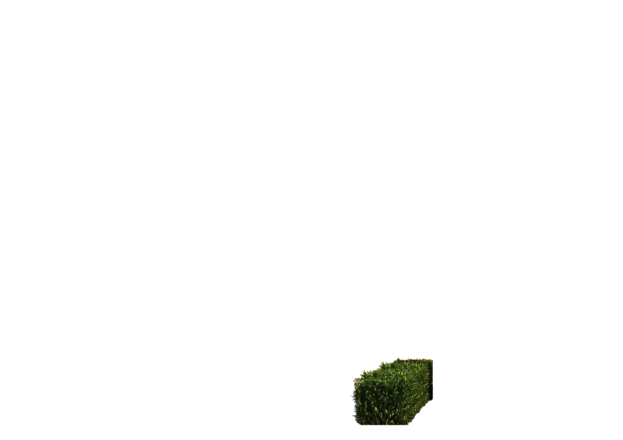 Foreground Layer Image